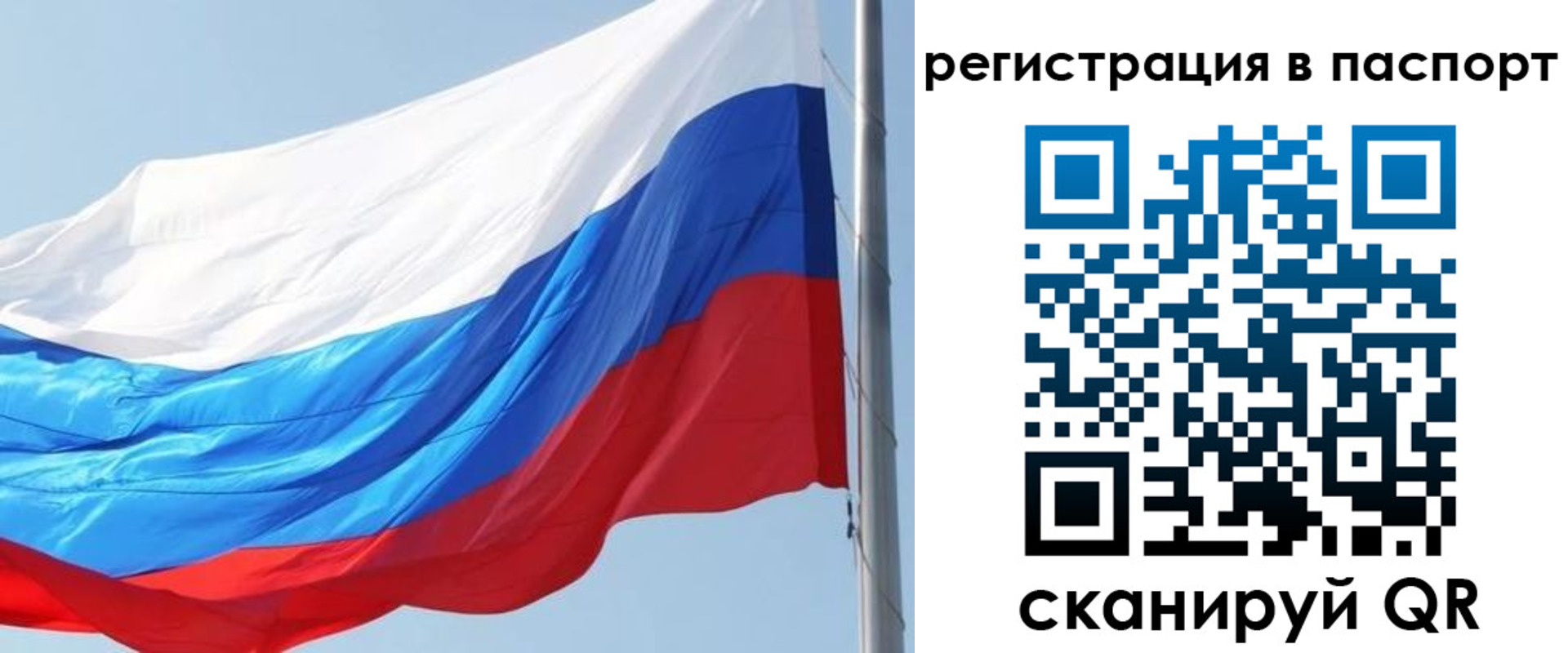 прописка законно в Гороховце